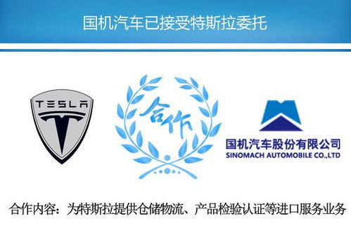 央企或成特斯拉中國總代理，國內貿易格局迎變局